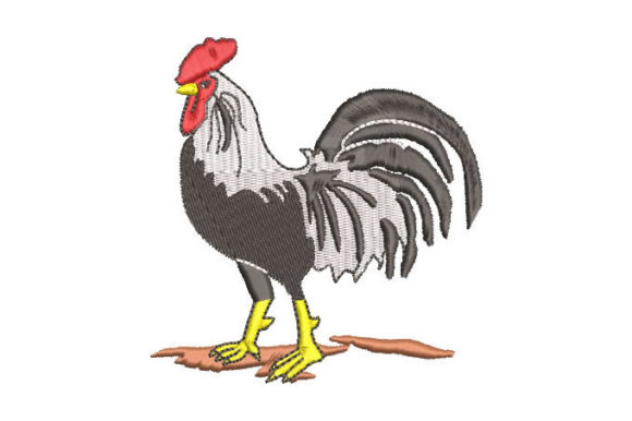 Black and White Rooster Review for Boutique Apparel
