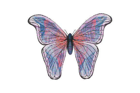 Blue Butterfly with Large Wings Review