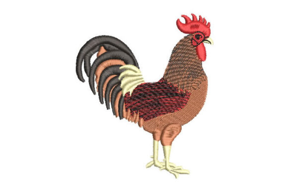 Fighting Cock: A Designer's Review for Real Projects