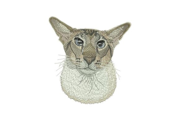 Oriental Cat Embroidery Review for Holiday Collections